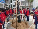 Img 20190211 084746