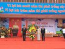 Img 6857